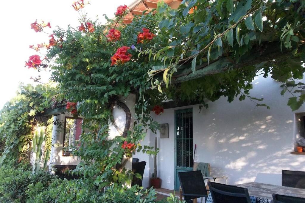 Cortijo Con Encanto Vila Cullera Exterior foto
